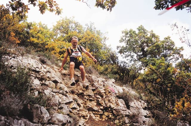 Festival des Templiers 2000