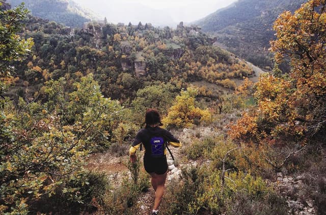 Festival des Templiers 2000