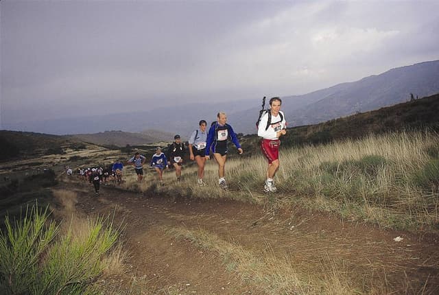 Festival des Templiers 2000