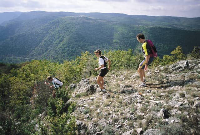 Festival des Templiers 2001