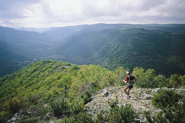 Festival des Templiers 2001