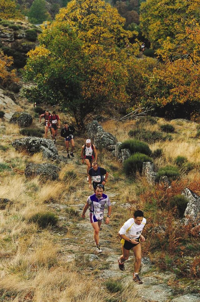 Festival des Templiers 2001