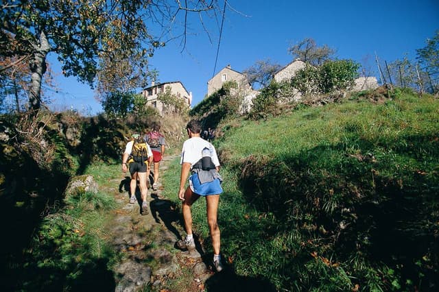 Festival des Templiers 2002