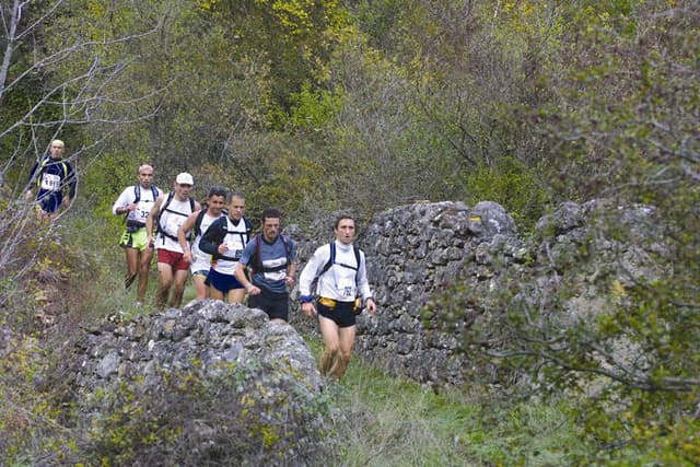 Festival des Templiers 2002