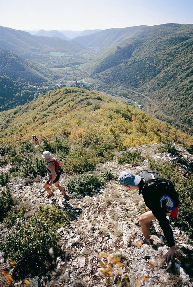 Festival des Templiers 2002