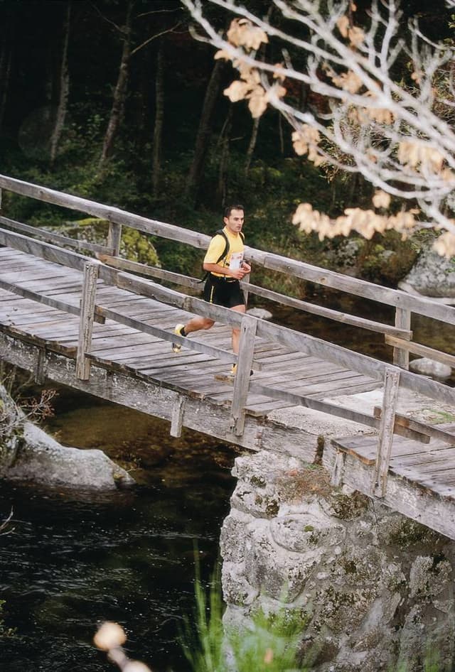 Festival des Templiers 2003