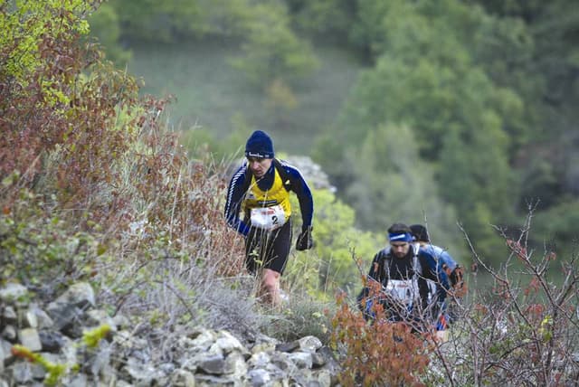 Festival des Templiers 2003