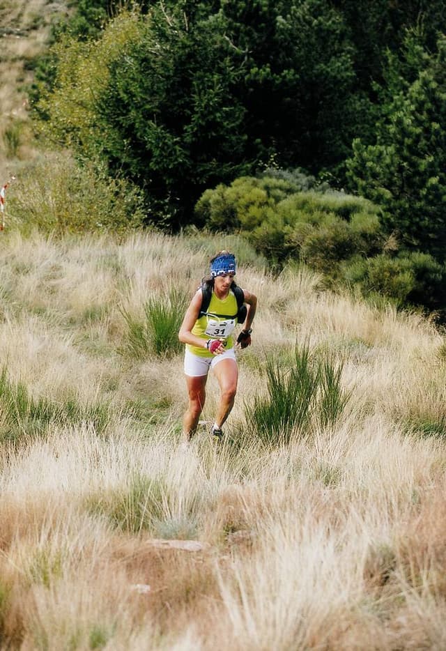 Festival des Templiers 2005