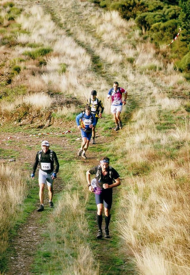 Festival des Templiers 2005