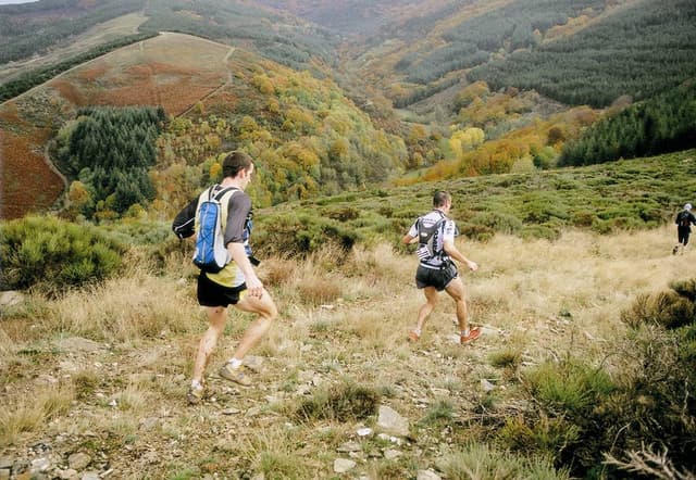 Festival des Templiers 2005