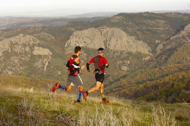 Festival des Templiers 2006