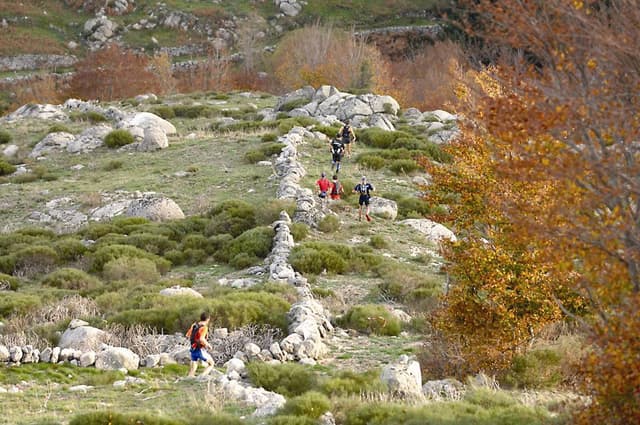 Festival des Templiers 2006
