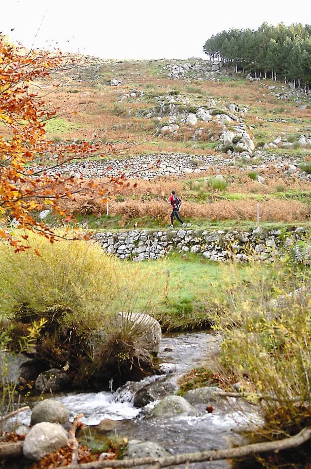 Festival des Templiers 2006