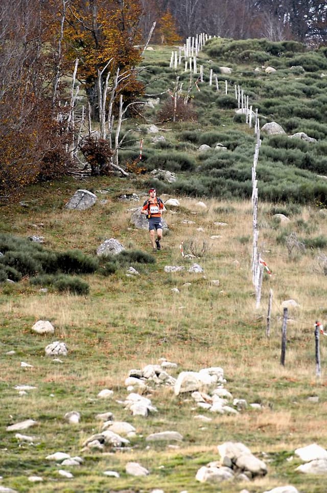 Festival des Templiers 2006