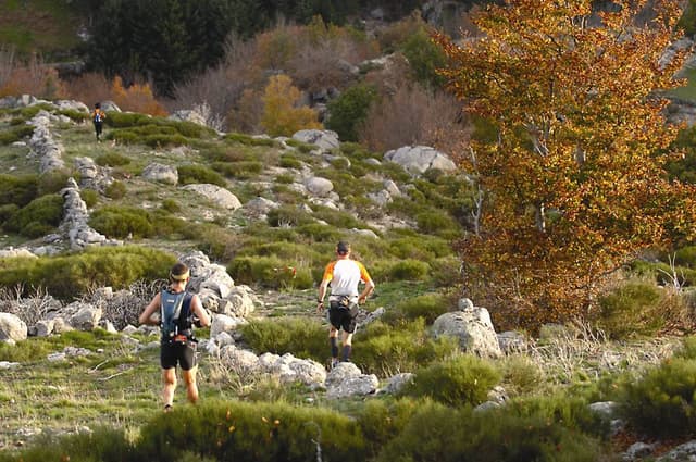 Festival des Templiers 2006
