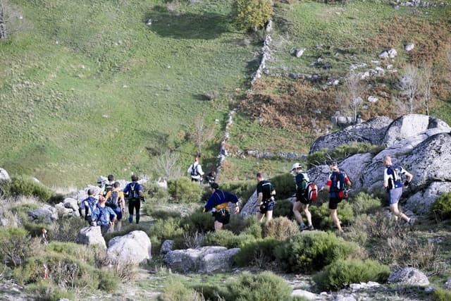 Festival des Templiers 2006