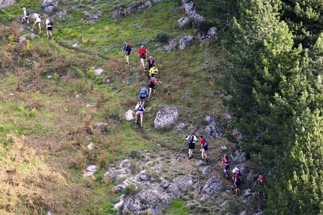 Festival des Templiers 2006