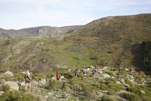 Festival des Templiers 2006
