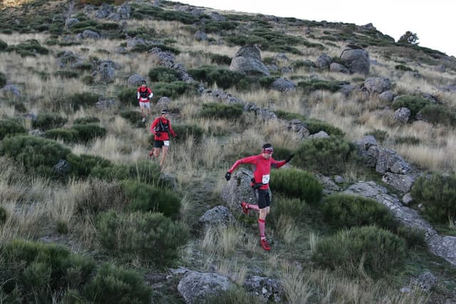 Festival des Templiers 2007