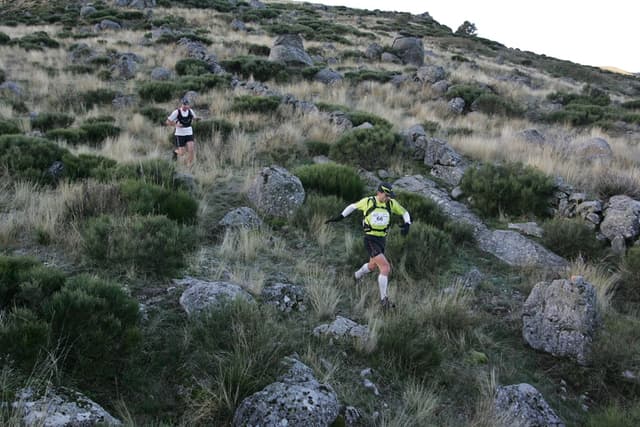 Festival des Templiers 2007