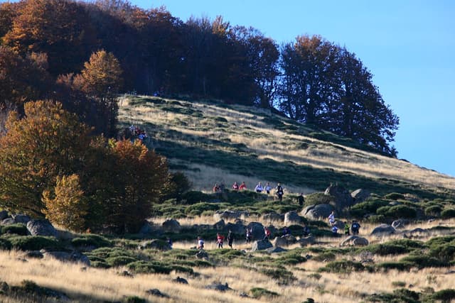 Festival des Templiers 2007