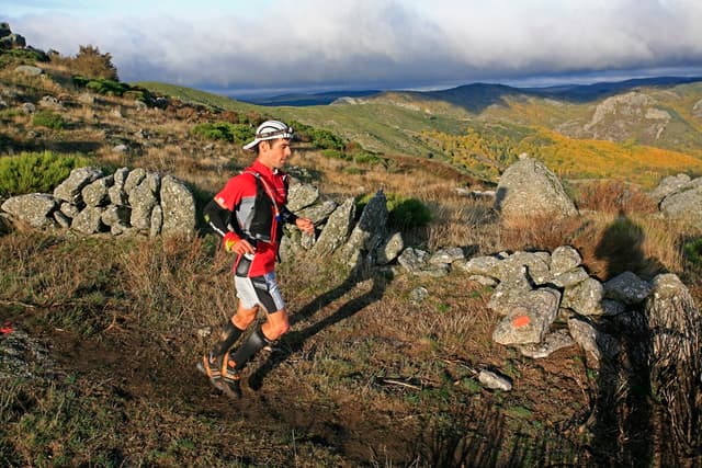 Festival des Templiers 2009