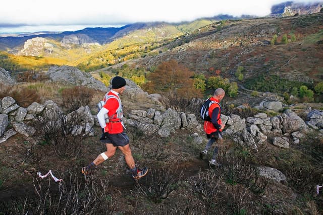 Festival des Templiers 2009