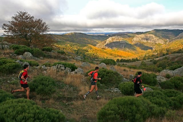 Festival des Templiers 2009
