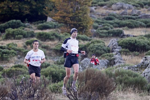 Festival des Templiers 2009