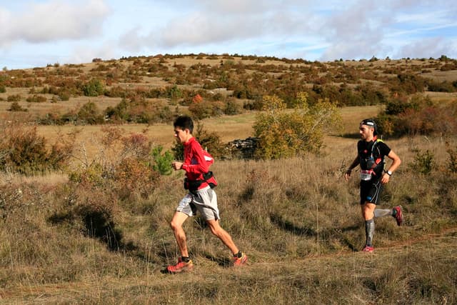 Festival des Templiers 2009