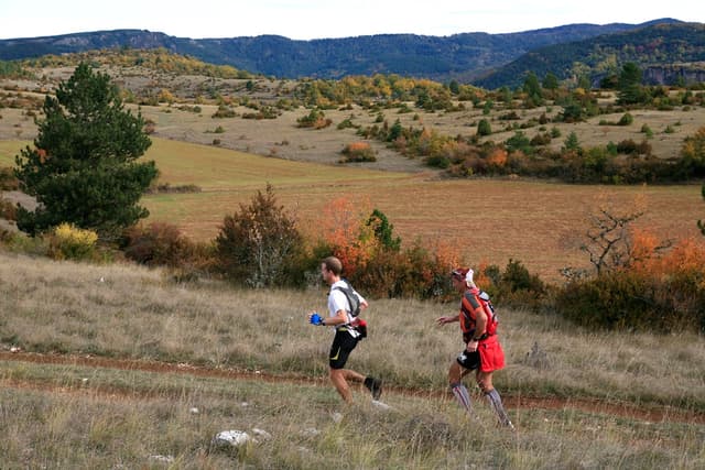 Festival des Templiers 2009