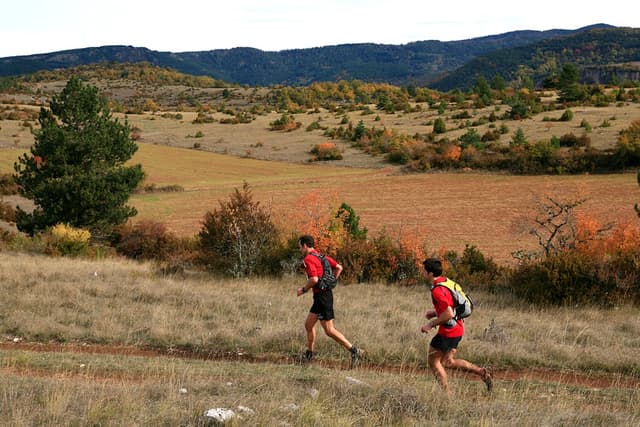 Festival des Templiers 2009
