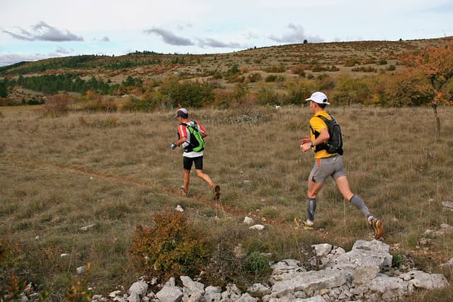 Festival des Templiers 2009