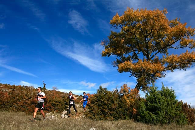 Festival des Templiers 2009