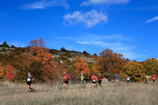 Festival des Templiers 2009