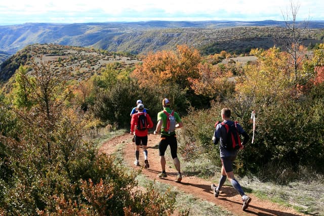 Festival des Templiers 2009