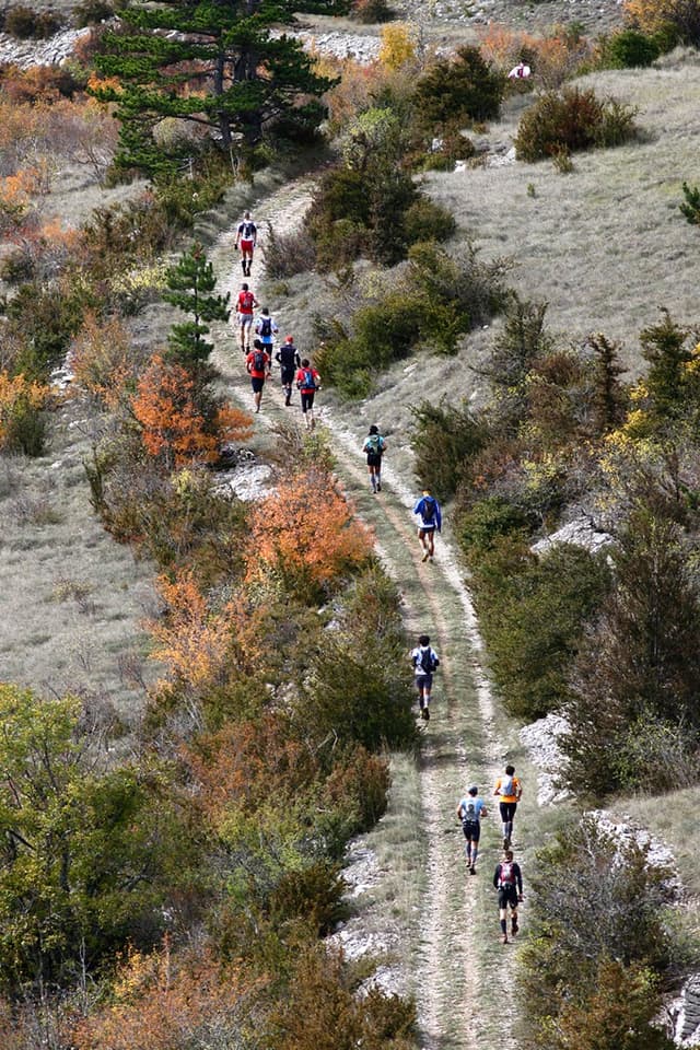 Festival des Templiers 2009