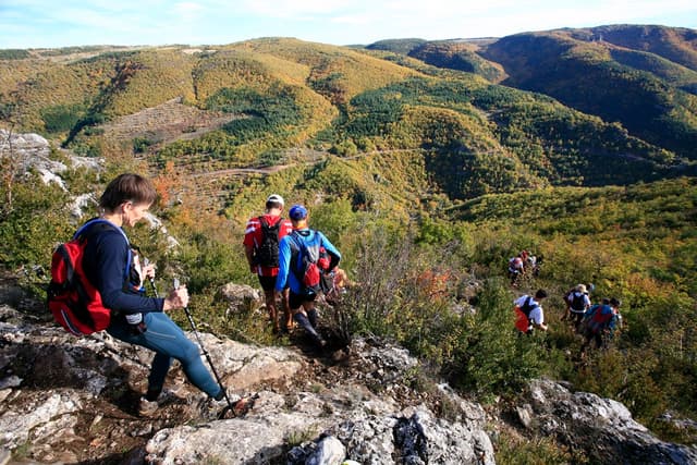 Festival des Templiers 2009