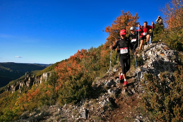 Festival des Templiers 2009