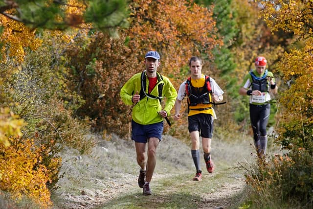 Festival des Templiers 2009