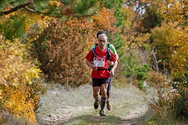 Festival des Templiers 2009