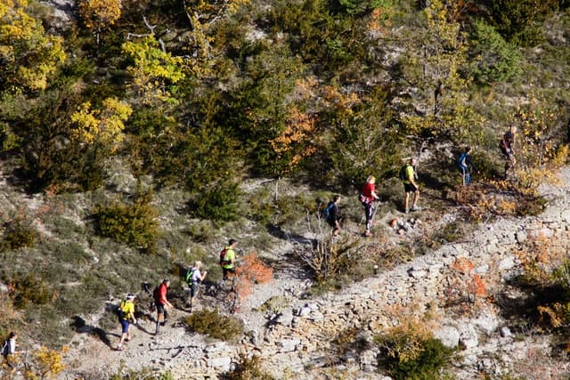Festival des Templiers 2009