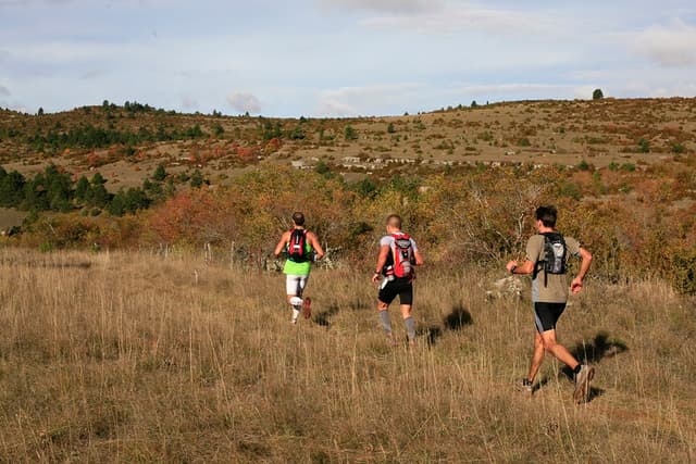 Festival des Templiers 2009