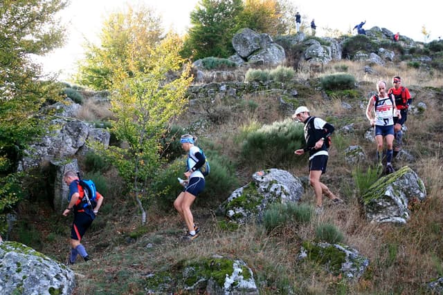 Festival des Templiers 2009