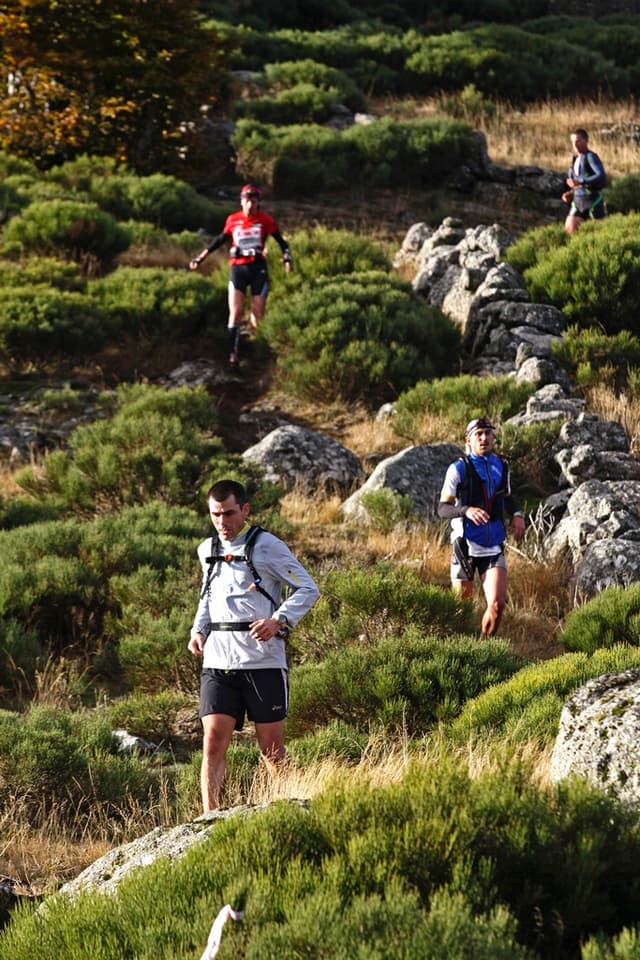 Festival des Templiers 2009