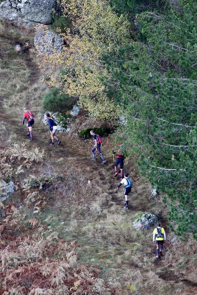 Festival des Templiers 2009