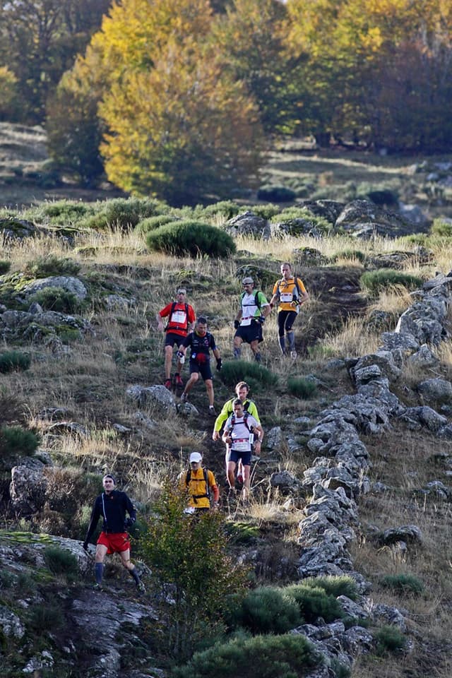 Festival des Templiers 2009