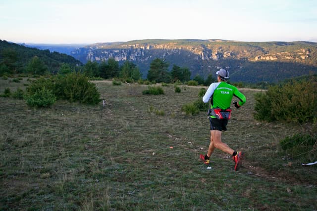 Festival des Templiers 2010