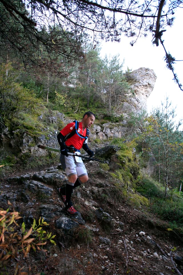 Festival des Templiers 2010