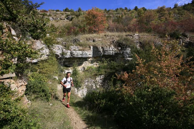 Festival des Templiers 2010